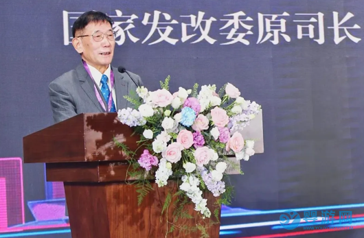 2024亚洲游艇展今日广州盛大开幕